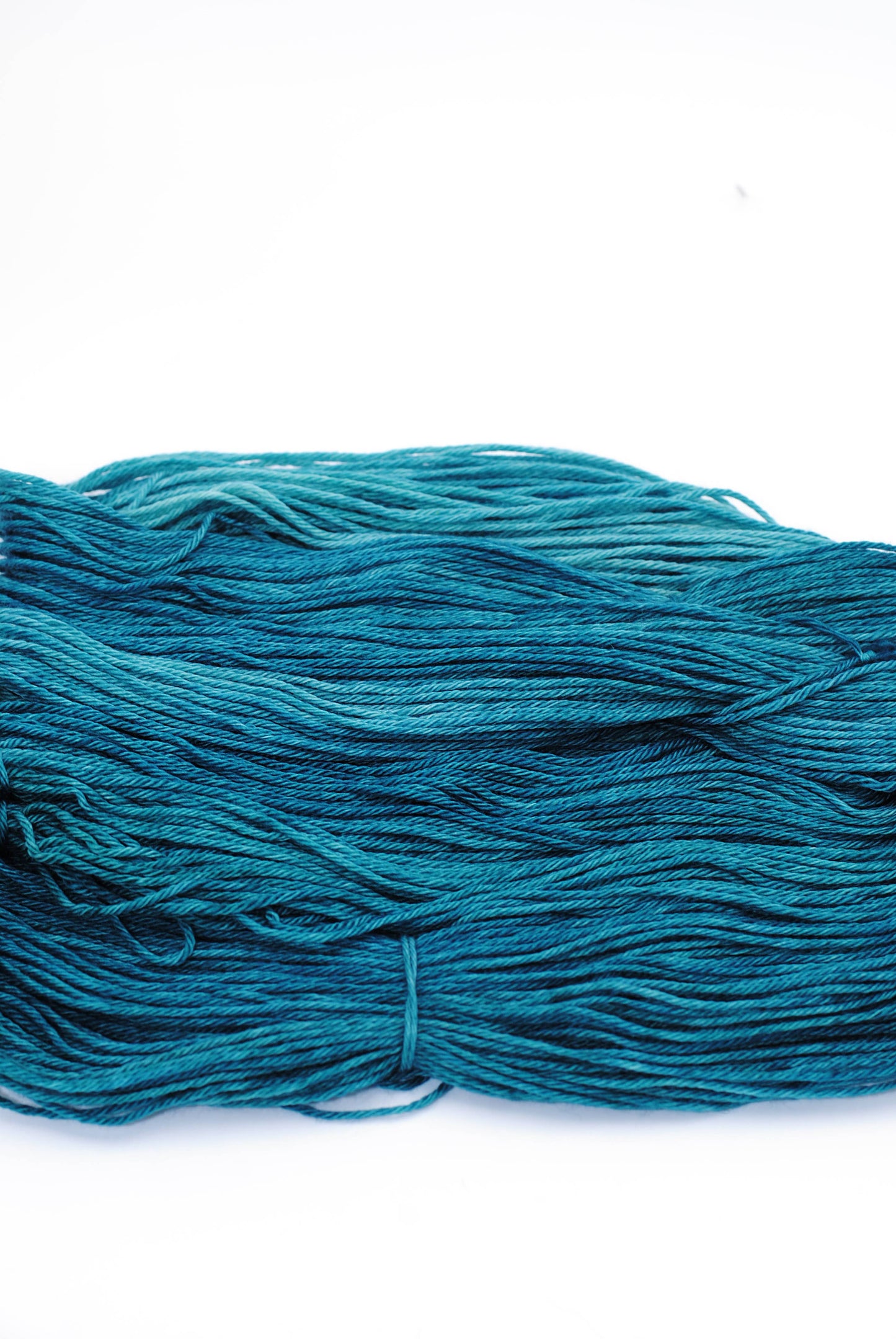 Blue Spruce