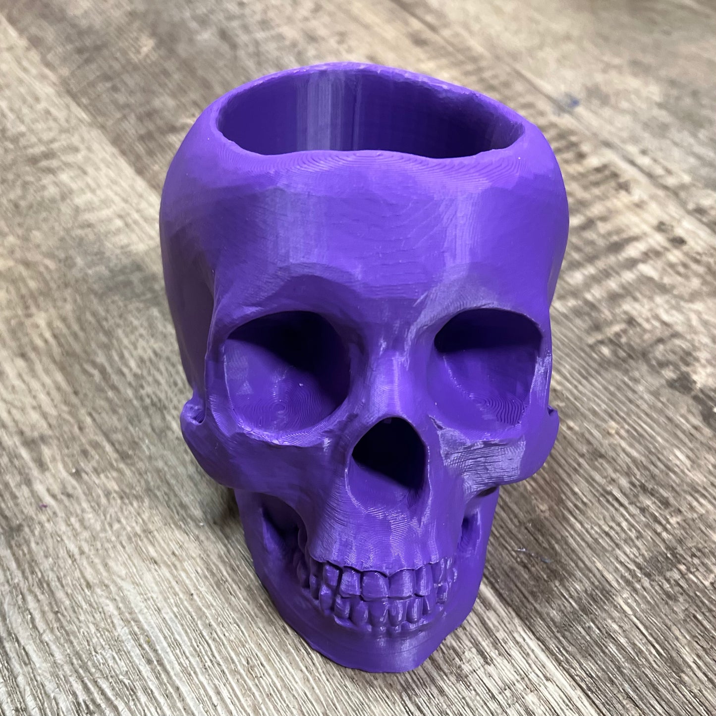 Skull Tool Holder