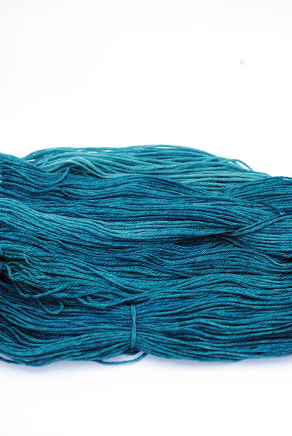Blue Spruce